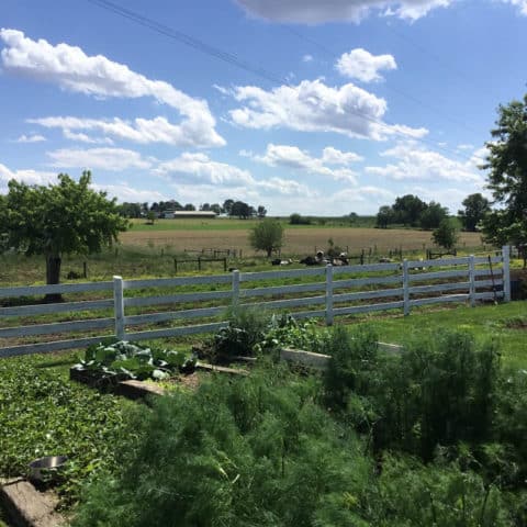 A Photo, Taken By A Tourist, Of A Gated Garden At Old Windmill Farm In Lancaster County, Pa.