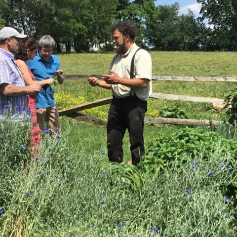 A Photo Taken Of An Amish Farmer Showing A Group Tour How To Plant Produce At Old Windmill Farm.