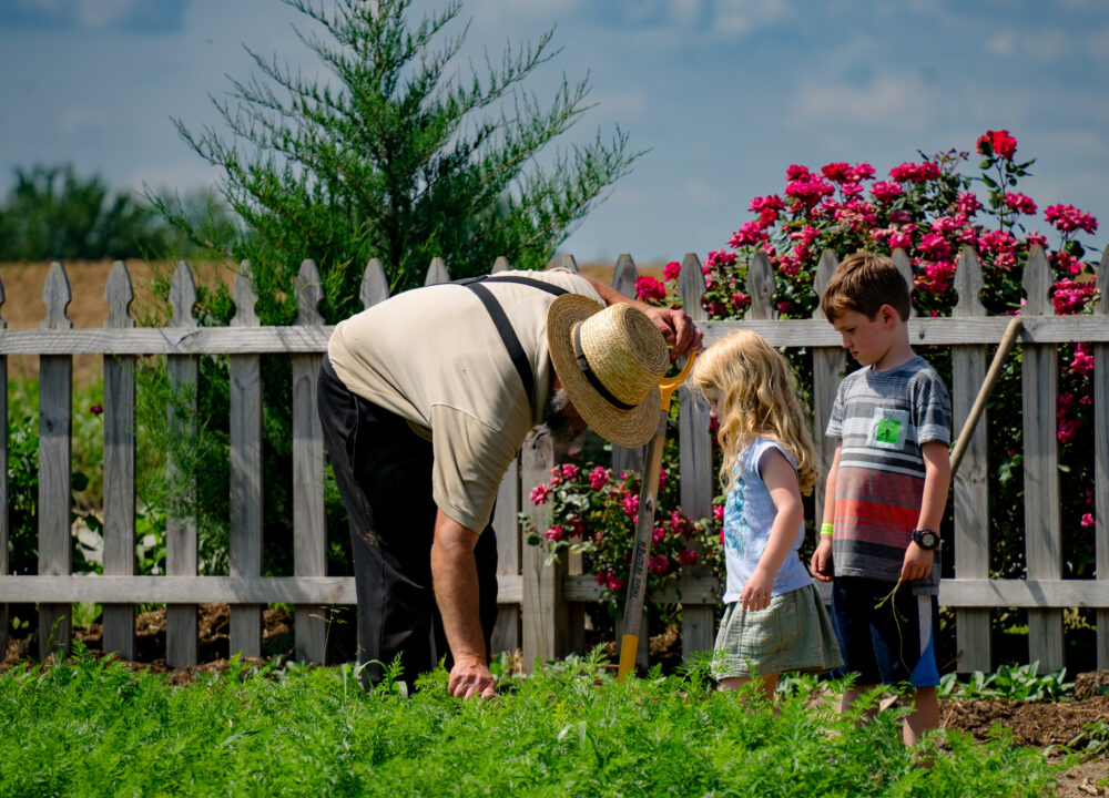 Home | Old Windmill Farm | Lancaster, PA