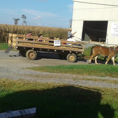 A Large Trailor Used By The Amish Farmers At Old Windmill Farm.