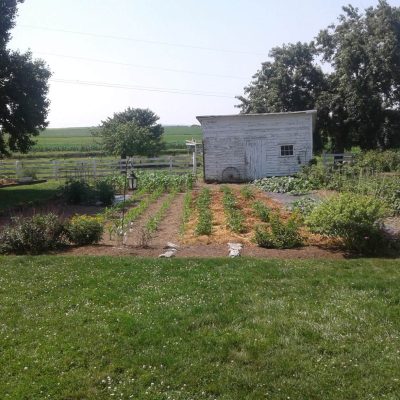 A Shed And Section Of Garden Explored During Tours At Old Windmill Farm.