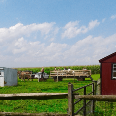A Scenic View Of Sheds, Fencing And Fields At Old Windmill Farm.
